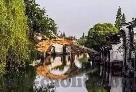 大象文化传媒-探索大象文化传媒，传统与创新的交融