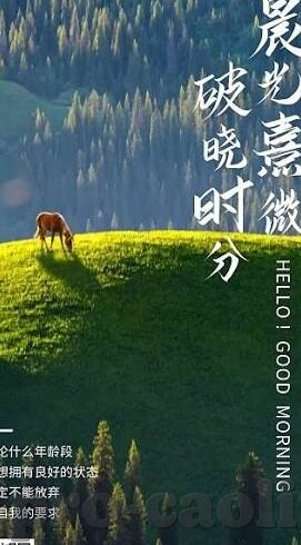 麻豆视频直播-麻豆视频直播，新时代的萤火